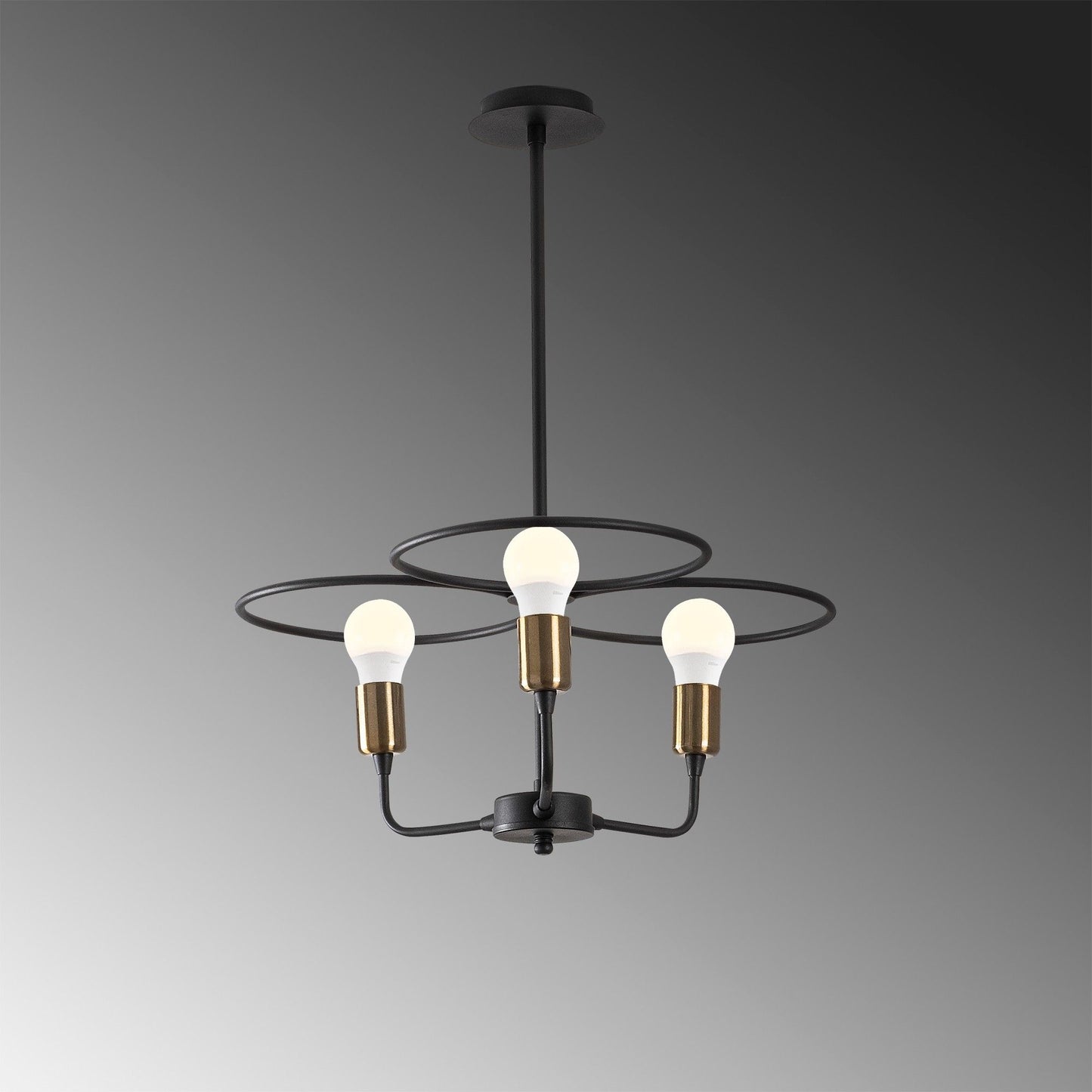 Circle - 1351 - Chandelier