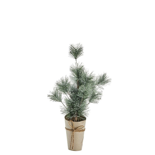 Pinea  H57 cm. grøn