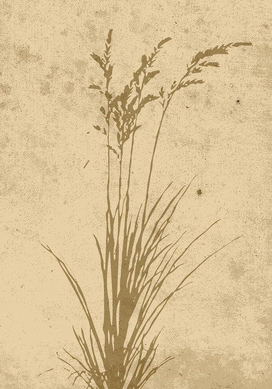 Plakat - Plant art - 50x70