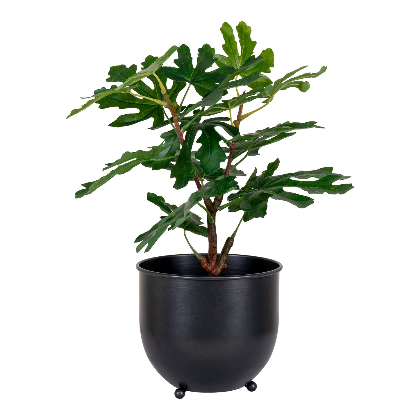Figentræ - Kunstigt plante, grøn, 50 cm
