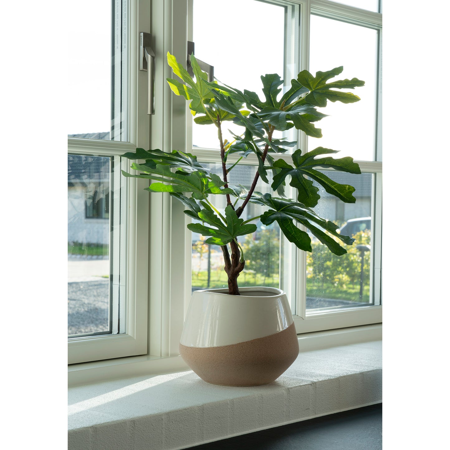 Figentræ - Kunstigt plante, grøn, 50 cm